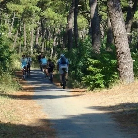 700m A Pied De La Plage Du Platin Villa Puyraveau